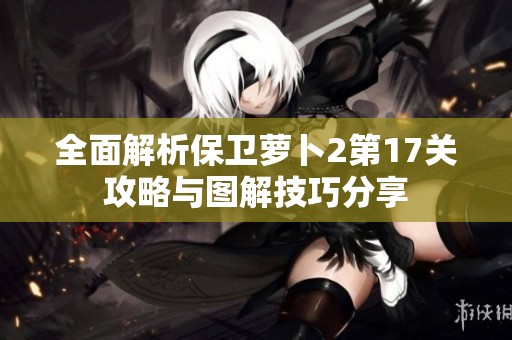 全面解析保衛(wèi)蘿卜2第17關(guān)攻略與圖解技巧分享