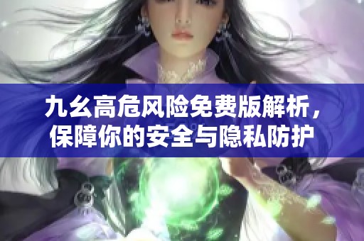 九幺高危風(fēng)險免費版解析，保障你的安全與隱私防護(hù)