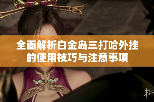 全面解析白金島三打哈外掛的使用技巧與注意事項(xiàng)