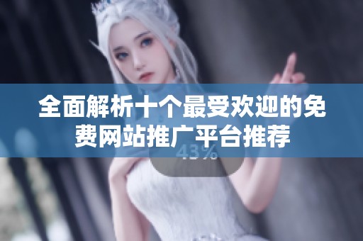全面解析十個(gè)最受歡迎的免費(fèi)網(wǎng)站推廣平臺(tái)推薦