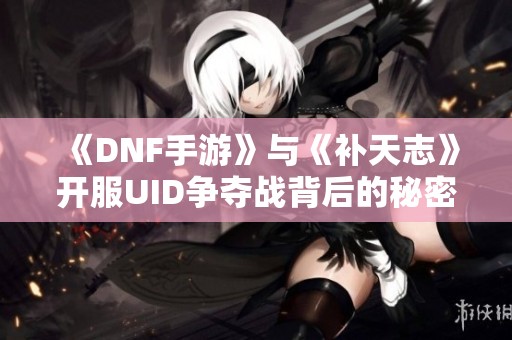 《DNF手游》與《補(bǔ)天志》開服UID爭奪戰(zhàn)背后的秘密解析