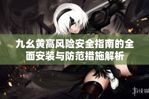 九幺黃高風險安全指南的全面安裝與防范措施解析