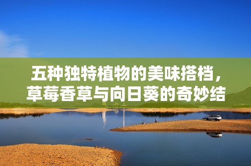 五種獨(dú)特植物的美味搭檔，草莓香草與向日葵的奇妙結(jié)合