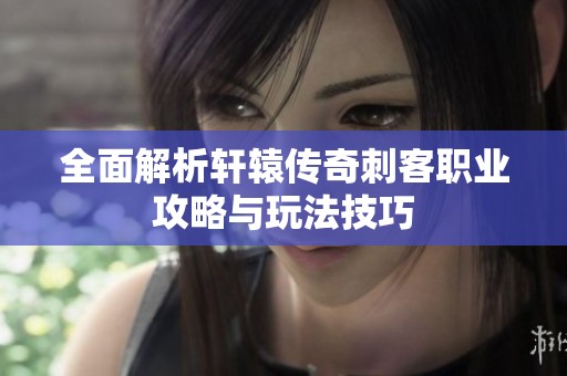 全面解析軒轅傳奇刺客職業(yè)攻略與玩法技巧