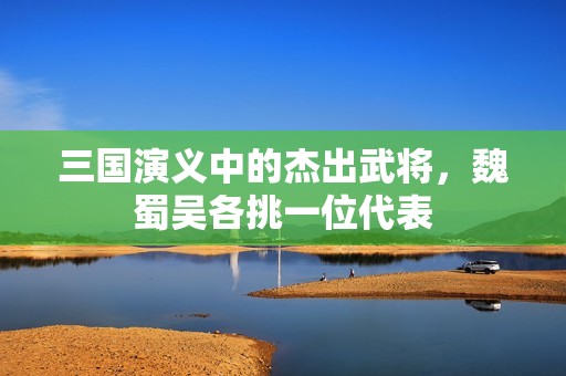 三國演義中的杰出武將，魏蜀吳各挑一位代表
