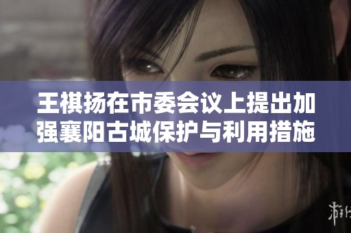 王祺揚在市委會議上提出加強襄陽古城保護(hù)與利用措施