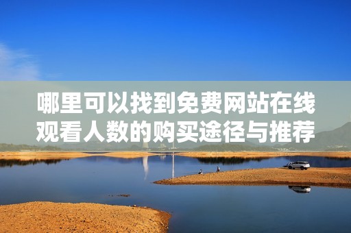 哪里可以找到免費(fèi)網(wǎng)站在線觀看人數(shù)的購買途徑與推薦