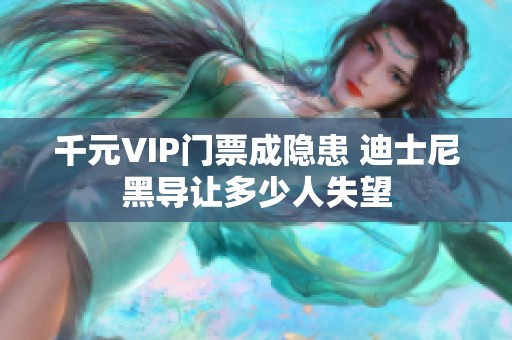 千元VIP門票成隱患 迪士尼黑導讓多少人失望