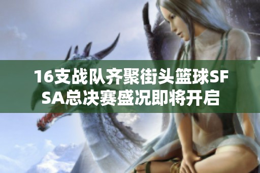 16支戰(zhàn)隊齊聚街頭籃球SFSA總決賽盛況即將開啟