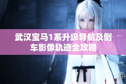 武漢寶馬1系升級(jí)導(dǎo)航及倒車(chē)影像軌跡全攻略