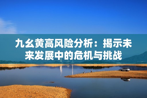 九幺黃高風(fēng)險(xiǎn)分析：揭示未來發(fā)展中的危機(jī)與挑戰(zhàn)