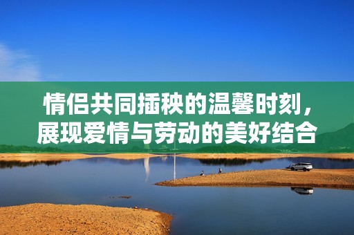 情侶共同插秧的溫馨時(shí)刻<div   id=