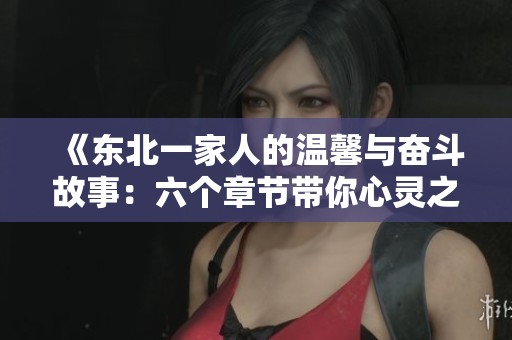 《東北一家人的溫馨與奮斗故事：六個(gè)章節(jié)帶你心靈之旅》