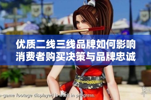 優(yōu)質(zhì)二線三線品牌如何影響消費(fèi)者購買決策與品牌忠誠度