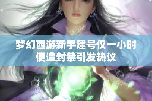 夢幻西游新手建號僅一小時便遭封禁引發(fā)熱議