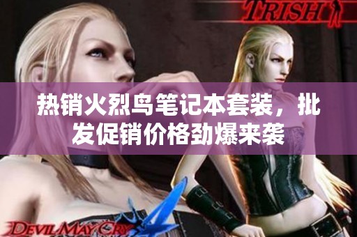 熱銷火烈鳥筆記本套裝，批發(fā)促銷價(jià)格勁爆來襲