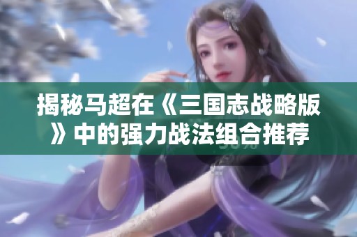 揭秘馬超在《三國志戰(zhàn)略版》中的強(qiáng)力戰(zhàn)法組合推薦
