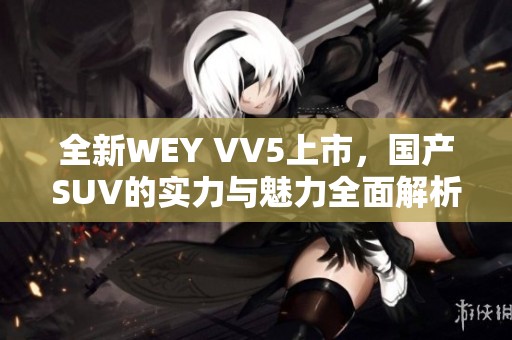 全新WEY VV5上市<div   id=