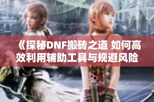 《探秘DNF搬磚之道 如何高效利用輔助工具與規(guī)避風(fēng)險(xiǎn)》