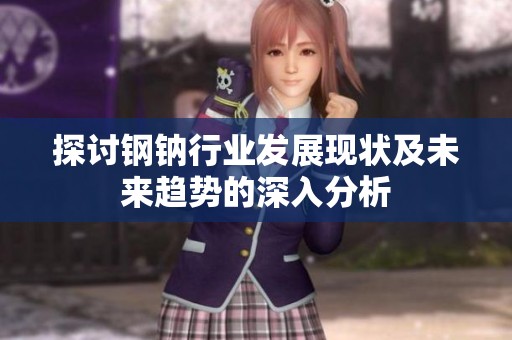 探討鋼鈉行業(yè)發(fā)展現(xiàn)狀及未來(lái)趨勢(shì)的深入分析
