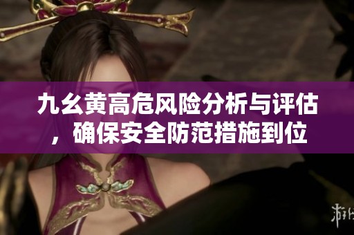 九幺黃高危風(fēng)險(xiǎn)分析與評(píng)估，確保安全防范措施到位