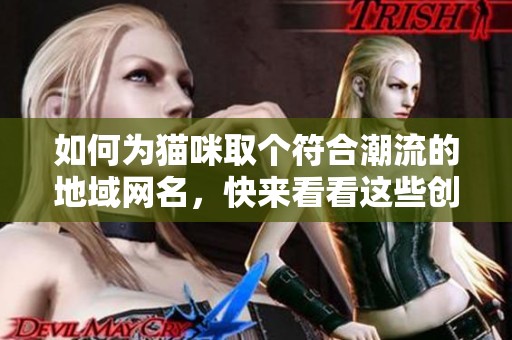 如何為貓咪取個符合潮流的地域網(wǎng)名，快來看看這些創(chuàng)意建議吧
