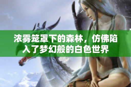 濃霧籠罩下的森林，仿佛陷入了夢(mèng)幻般的白色世界