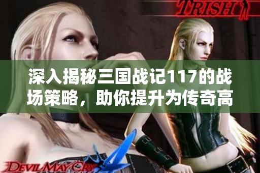 深入揭秘三國(guó)戰(zhàn)記117的戰(zhàn)場(chǎng)策略，助你提升為傳奇高手