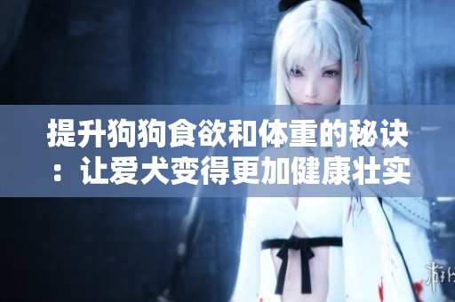 提升狗狗食欲和體重的秘訣：讓愛(ài)犬變得更加健康壯實(shí)