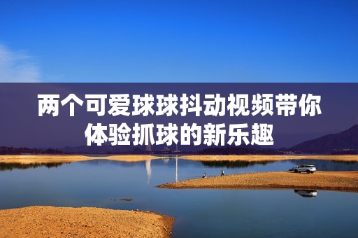 兩個可愛球球抖動視頻帶你體驗抓球的新樂趣