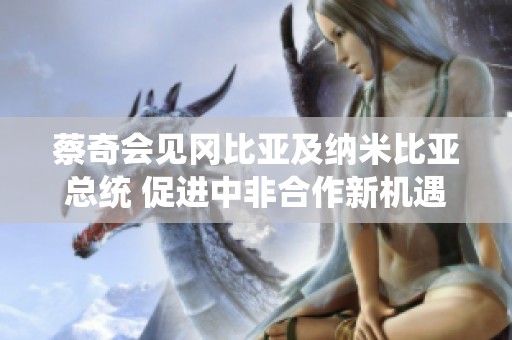 蔡奇會(huì)見岡比亞及納米比亞總統(tǒng) 促進(jìn)中非合作新機(jī)遇