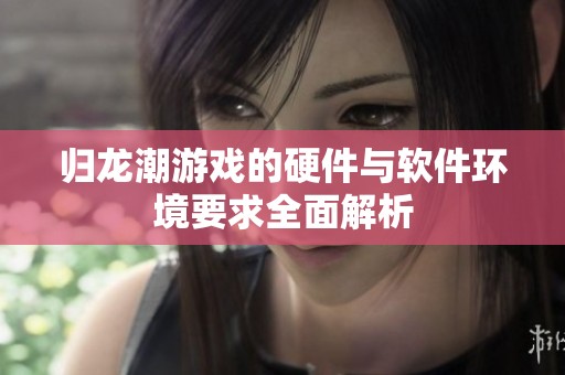 歸龍潮游戲的硬件與軟件環(huán)境要求全面解析