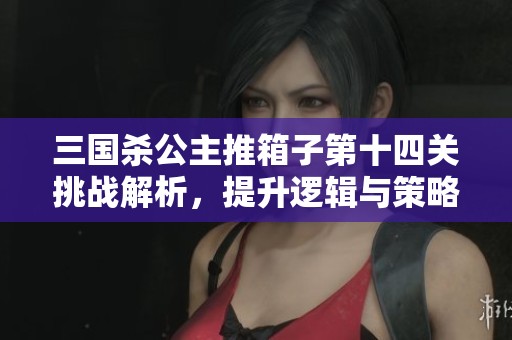 三國殺公主推箱子第十四關(guān)挑戰(zhàn)解析，提升邏輯與策略能力