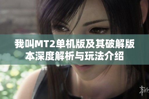 我叫MT2單機(jī)版及其破解版本深度解析與玩法介紹