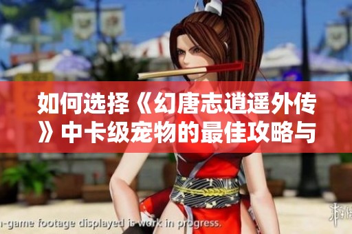 如何選擇《幻唐志逍遙外傳》中卡級(jí)寵物的最佳攻略與建議