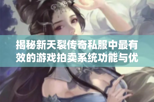揭秘新天裂傳奇私服中最有效的游戲拍賣系統(tǒng)功能與優(yōu)勢