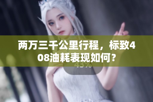 兩萬三千公里行程，標(biāo)致408油耗表現(xiàn)如何？