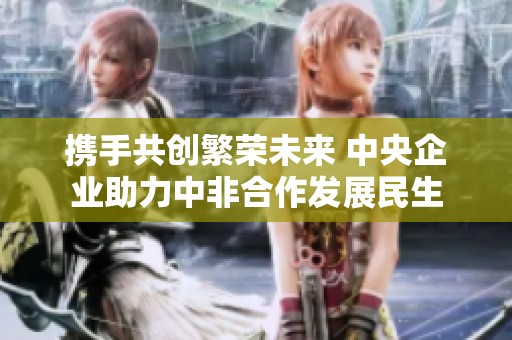 攜手共創(chuàng)繁榮未來 中央企業(yè)助力中非合作發(fā)展民生