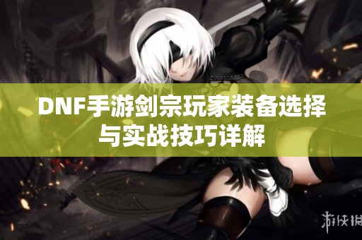 DNF手游劍宗玩家裝備選擇與實戰(zhàn)技巧詳解
