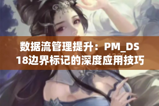 數(shù)據(jù)流管理提升：PM_DS18邊界標(biāo)記的深度應(yīng)用技巧解析