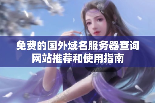 免費的國外域名服務(wù)器查詢網(wǎng)站推薦和使用指南
