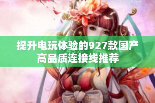 提升電玩體驗(yàn)的927款國(guó)產(chǎn)高品質(zhì)連接線(xiàn)推薦