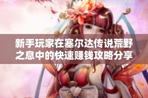 新手玩家在塞爾達(dá)傳說荒野之息中的快速賺錢攻略分享
