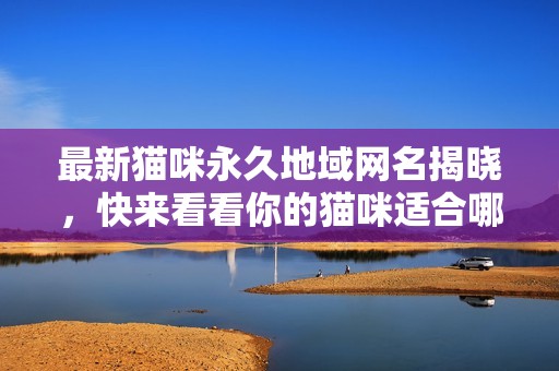 最新貓咪永久地域網(wǎng)名揭曉，快來(lái)看看你的貓咪適合哪個(gè)名字