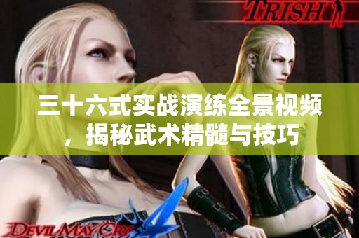 三十六式實戰(zhàn)演練全景視頻，揭秘武術(shù)精髓與技巧
