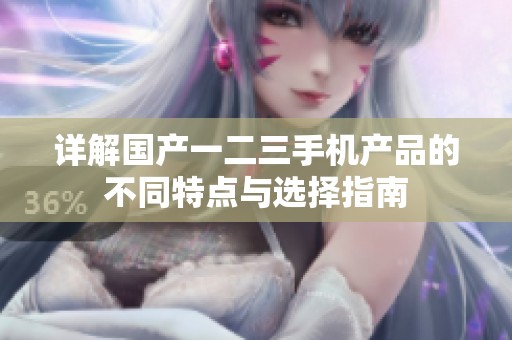 詳解國(guó)產(chǎn)一二三手機(jī)產(chǎn)品的不同特點(diǎn)與選擇指南