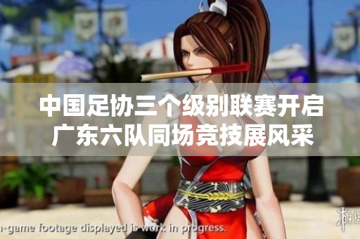 中國足協(xié)三個級別聯(lián)賽開啟 廣東六隊同場競技展風(fēng)采