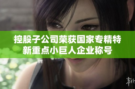 控股子公司榮獲國家專精特新重點(diǎn)小巨人企業(yè)稱號