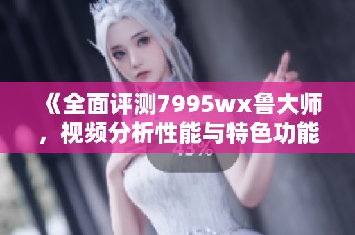 《全面評(píng)測(cè)7995wx魯大師，視頻分析性能與特色功能》