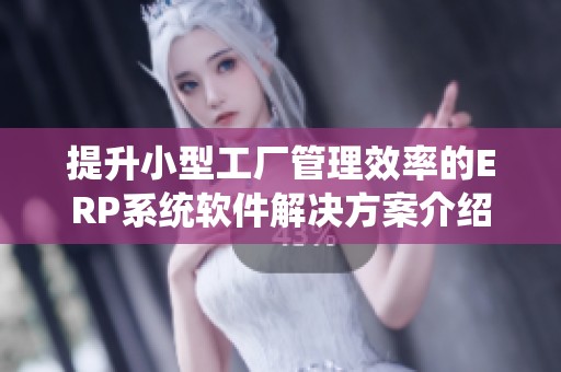 提升小型工廠管理效率的ERP系統(tǒng)軟件解決方案介紹